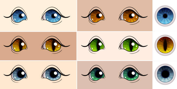 vector set of eyes - hayvan gözü stock illustrations