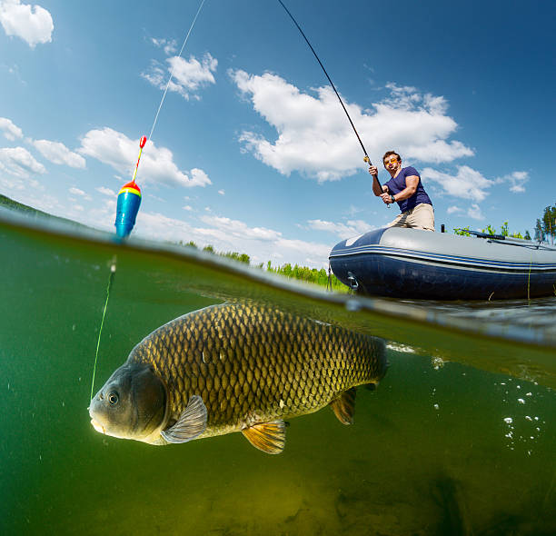 istock Split shot of the fisherman 500462464