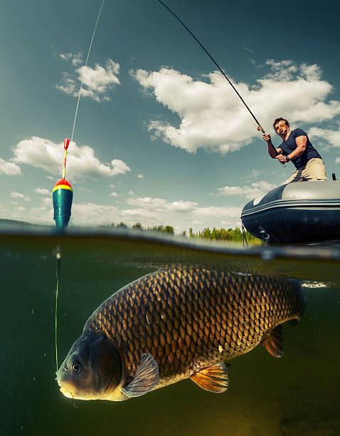 istock Split shot of the fisherman 500462532