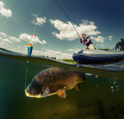 Split shot of the fisherman with rod in the boat and underwater view of the big fish (Carp of the family of Cyprinidae)