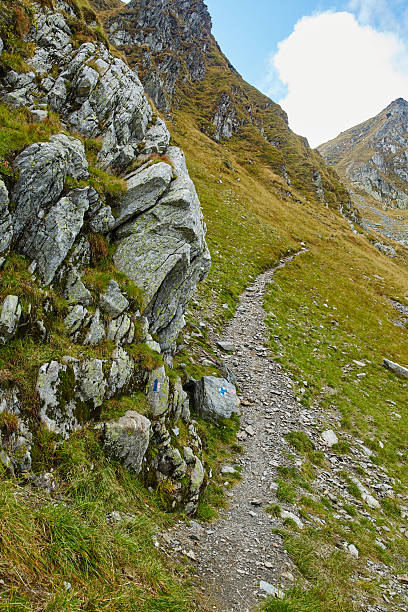 istock Hiking trail in the mountains 500463056