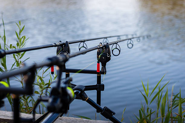 istock Carp fishing 500463422