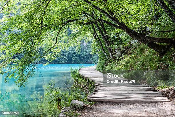 Nationalpark Plitvicer Seen Stockfoto und mehr Bilder von Natur - Natur, Weg, Parkanlage
