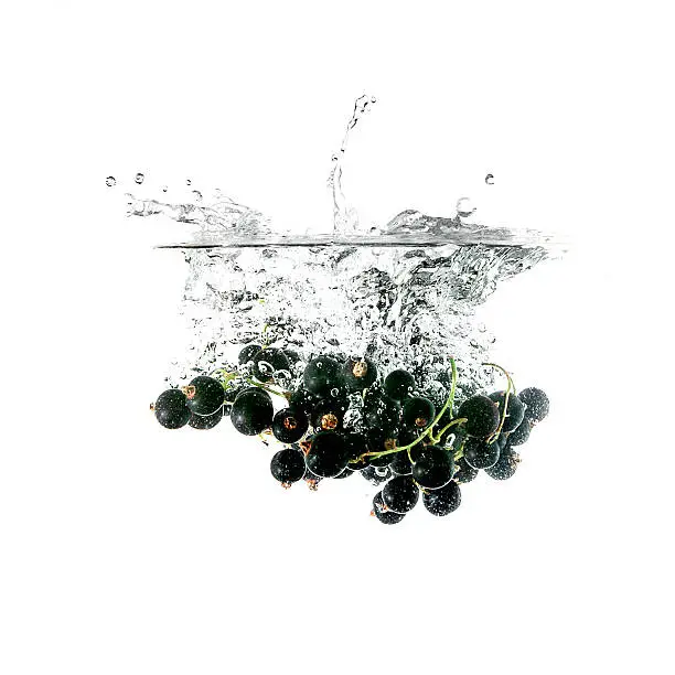 Blackcurrants splash on water, isolated on white background. Use for fresh drinks advertising.