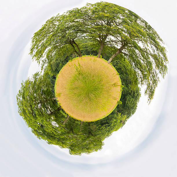 istock Meadow with trees like little planet 500472809