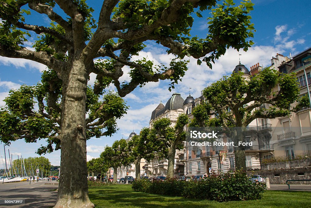 Beautiful Lakeshore Walkway and Trees with Historic Buildings Geneva Switzerland Geneva - Switzerland Stock Photo