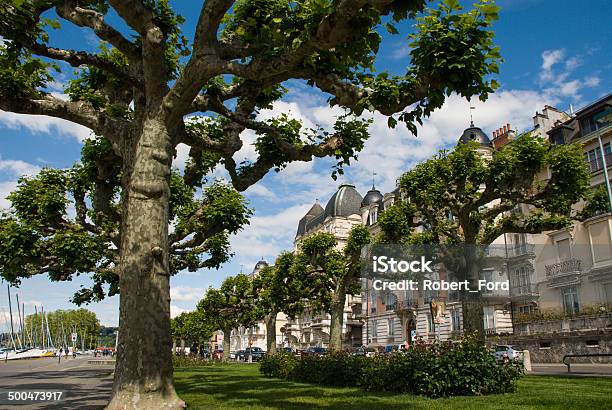 Beautiful Lakeshore Walkway And Trees With Historic Buildings Geneva Switzerland Stock Photo - Download Image Now