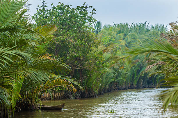 Vietnamese Rainforest and Mekong Delta: