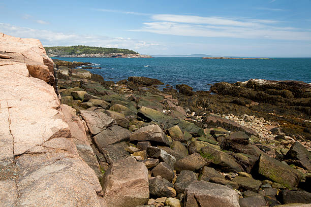 istock Thunder hole in Acadia National Park at Maine 500474057