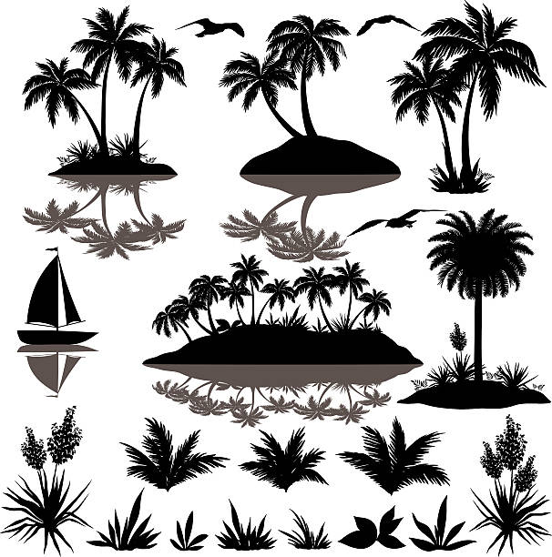 Tropical set with palms silhouettes Tropical set, sea island with palm trees, plants, flowers, birds gulls and ship, black silhouettes isolated on white background. Vector island stock illustrations