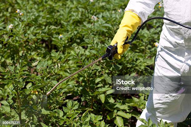 Pesticide Spraying Stock Photo - Download Image Now - Agriculture, Chemical, Cultivated