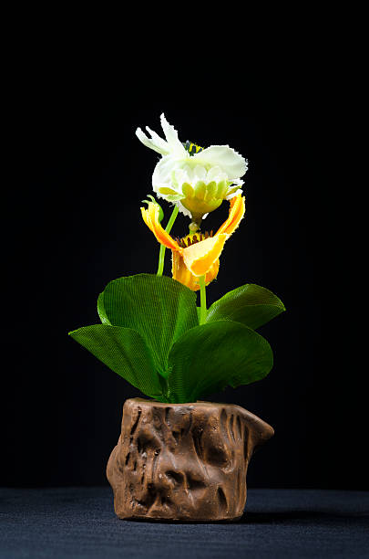 istock still life with flower and ornamental on black background 500475991