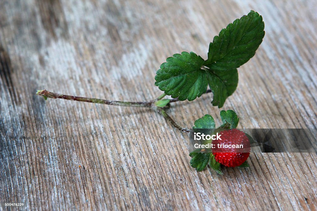 Floresta de morangos - Foto de stock de Agricultura royalty-free