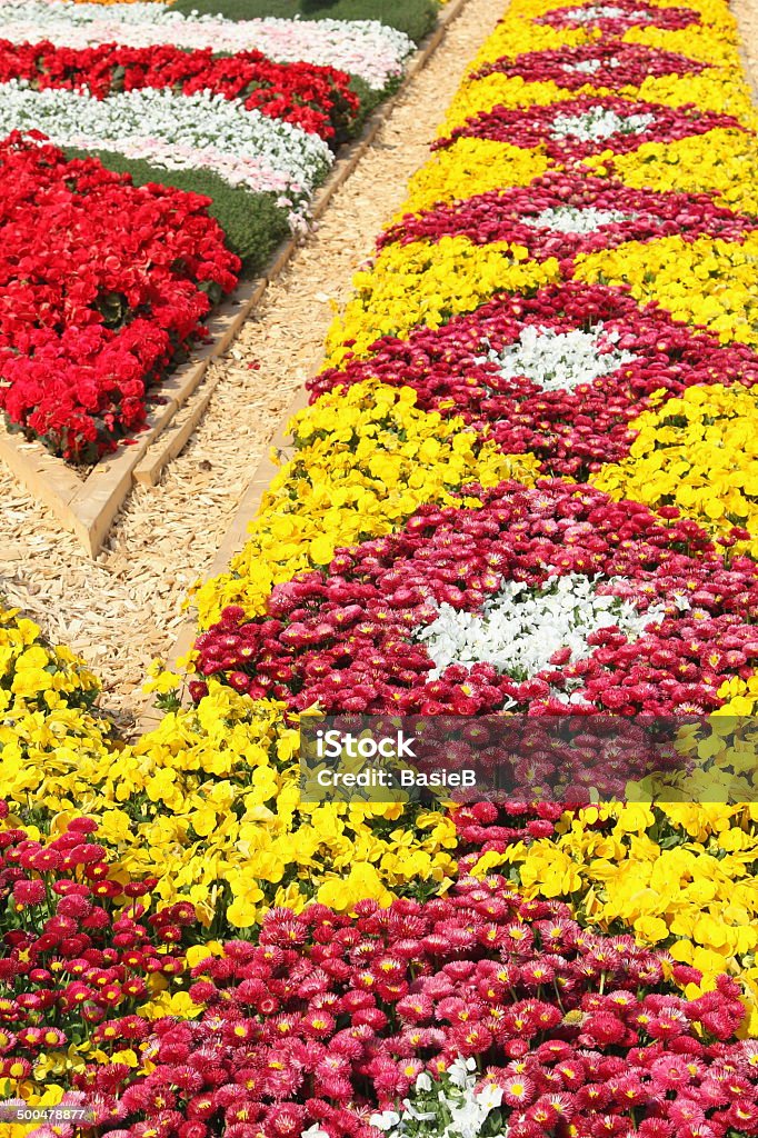 Bunte flowerbed - Lizenzfrei Anstrengung Stock-Foto