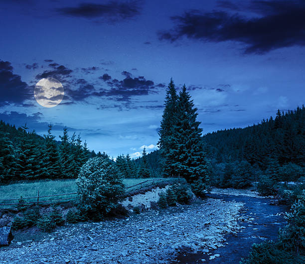 istock wild mountain river near forest at night 500478915