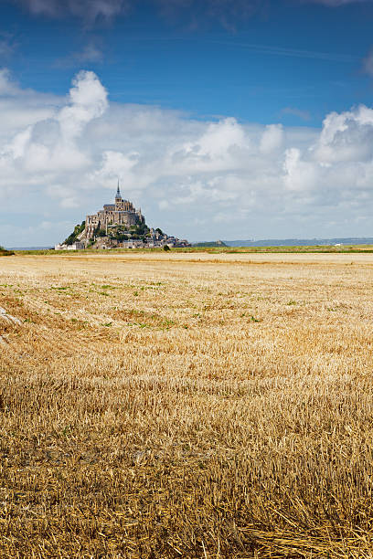 istock Mt Saint Michel in France 500479311