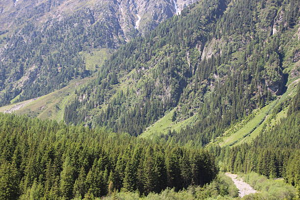 Gleirschbach, St. Sigmund, Sellrain, Tyrol, Austria