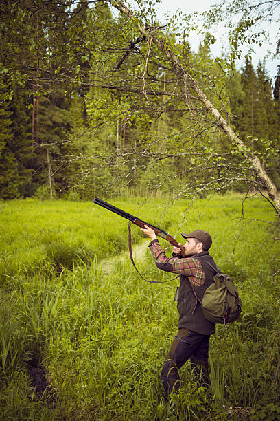 istock Birds Hunter Pointing Gun to the Sky in a Fen 500480028
