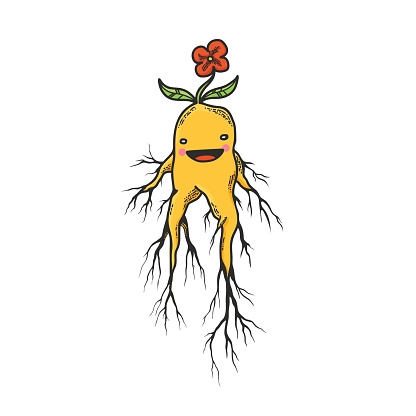 Mandrake Roots Hand Drawn Character Stock Illustration - Download