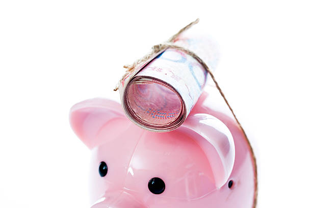 istock Piggy bank with currency 500484476
