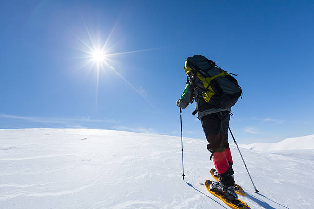 istock Hiker snowshoeing in winter mountains during sunny day 500484580