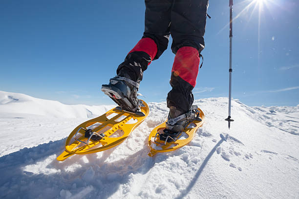 istock Hiker snowshoeing in winter mountains during sunny day 500485212