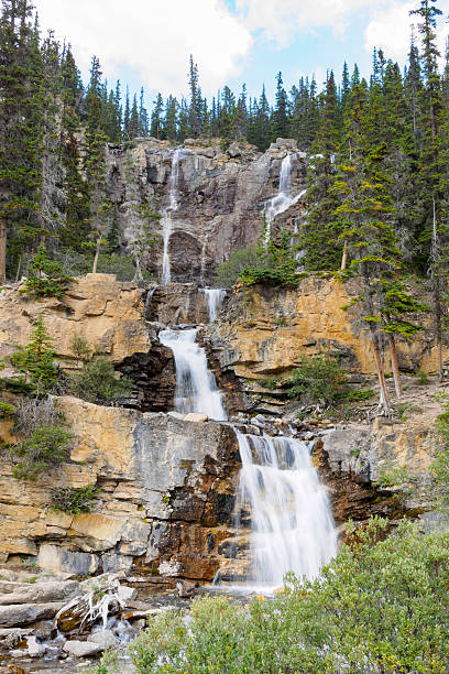istock Tangle Creek Falls, Canadian Rocky, Canada 500485288