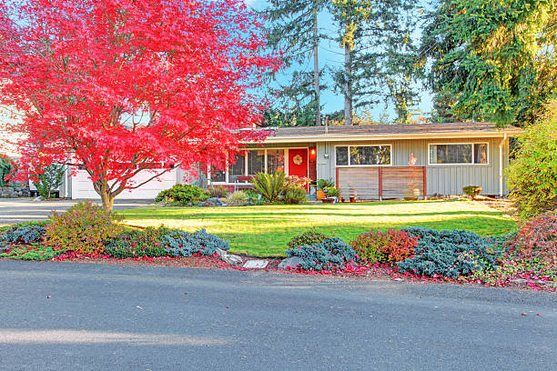 istock House exterior with garage and driveway view 500488523