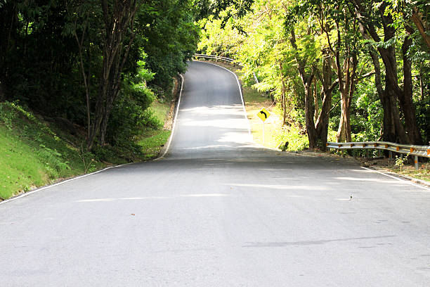 istock Beautiful natural location Road in a forest 500488600
