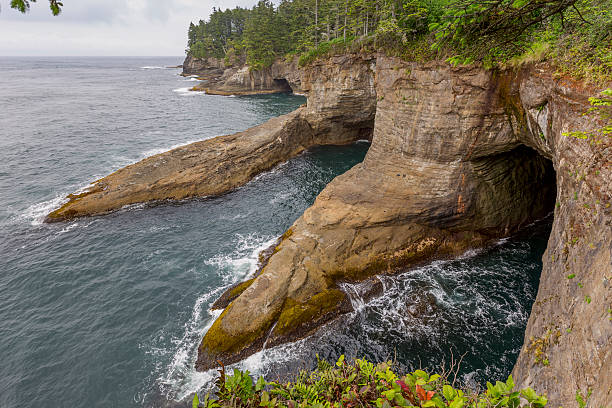 istock Cape Flattery in Olympic National Park 500489911