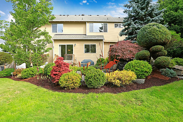 istock House with backyard tropical garden and lawn 500490363