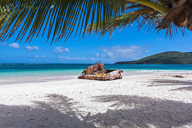 Flamenco beach Rusted old tank covered in graffiti on famous Flamenco Beach framed by palm tree on beautiful Isla Culebra, Puerto Rico culebra island photos stock pictures, royalty-free photos & images