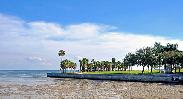 istock Beach walkway with a low-tide ocean 500490641