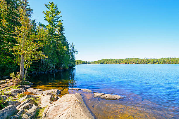 クリア日と、静かな湖の北部の森 - boundary waters canoe area ストックフォトと画像