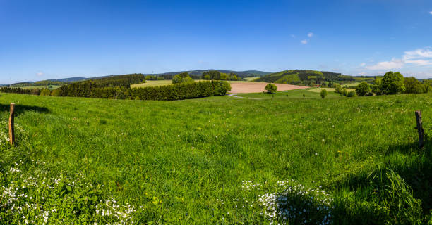 istock Wonderful green landscape 500491265