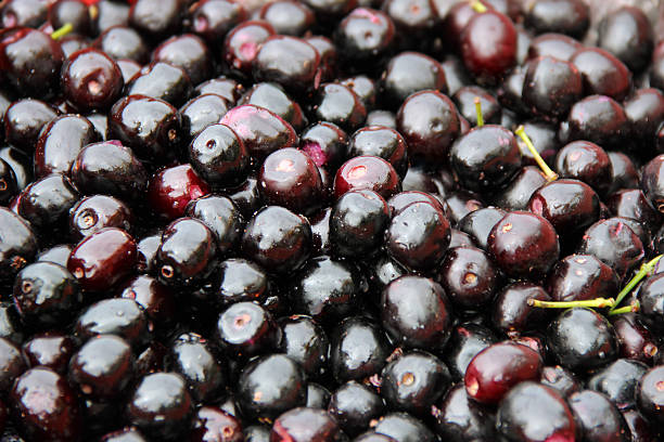istock Syzygium Cumini 500491867