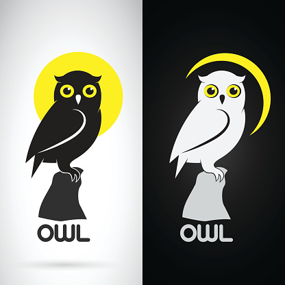 Vector image of an owl design on white background and black background, Logo, Symbol