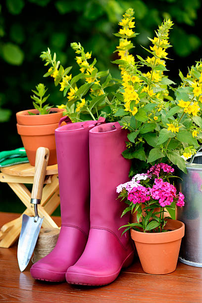 istock Gardening tools on wooden table and green background 500494955