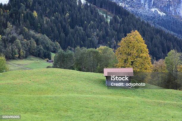 Switzerland Stock Photo - Download Image Now - Agriculture, Autumn, Bern