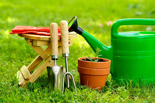 istock Gardening tools on green background and grass 500495591
