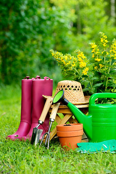 istock Gardening tools on green background and grass 500495601