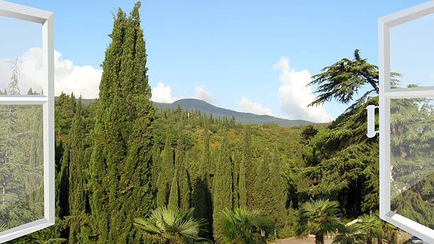 istock opened window to the tropic forest 500504481