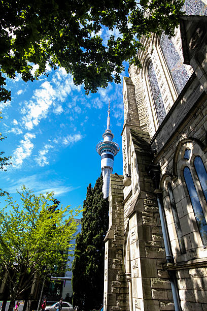 skytower auckland stock photo