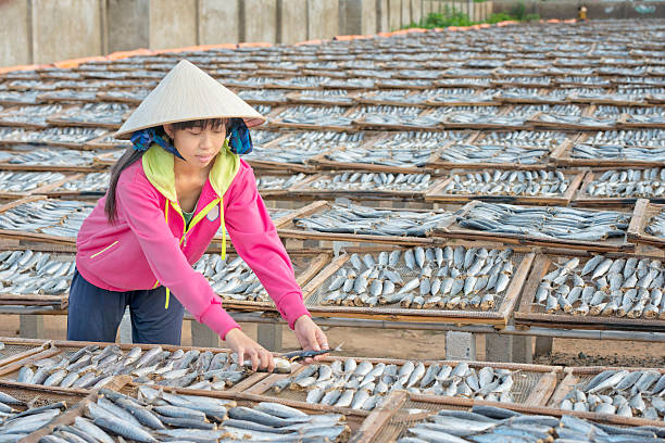 Ragazza di visualizzazione preparati ad asciugatura rapida per sole sardine - foto stock