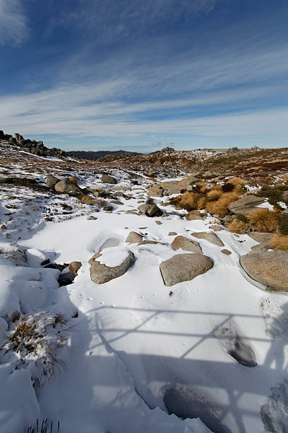istock Snowy Mountains New South Wales 500504640