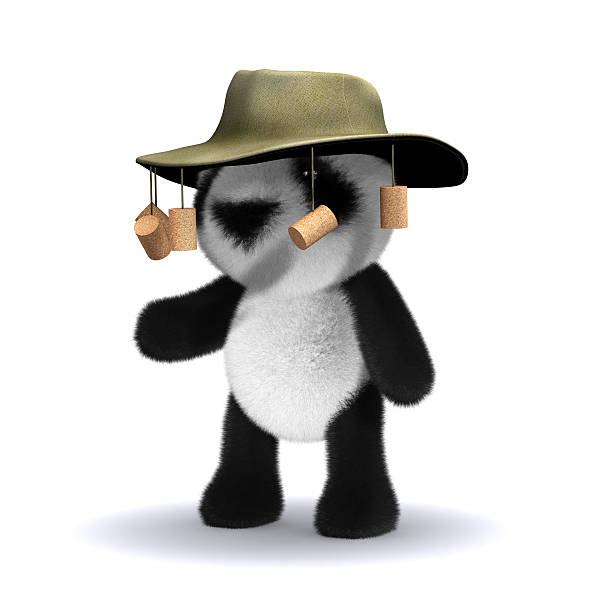 3d Panda bear goes to Australia