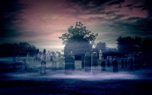spettrale cimitero - bare tree immagine foto e immagini stock