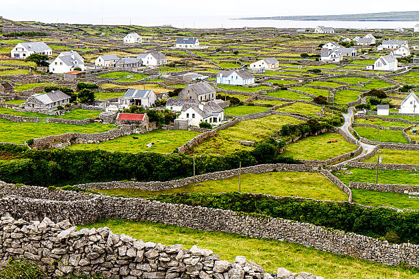 istock Stone wall of the Aran Islands 500506631
