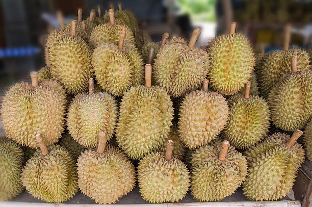 istock durians in market 500507507