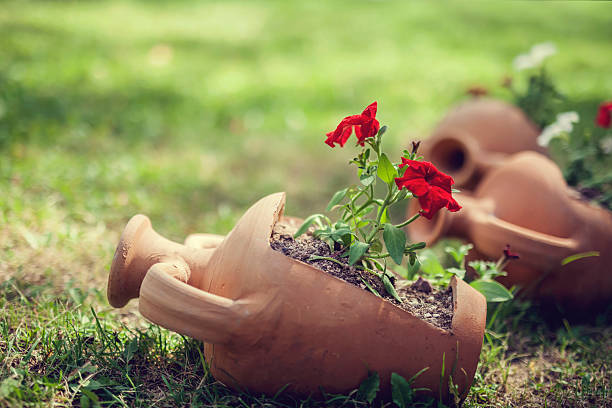 Décoratifs trois pot en argile dans le jardin - Photo